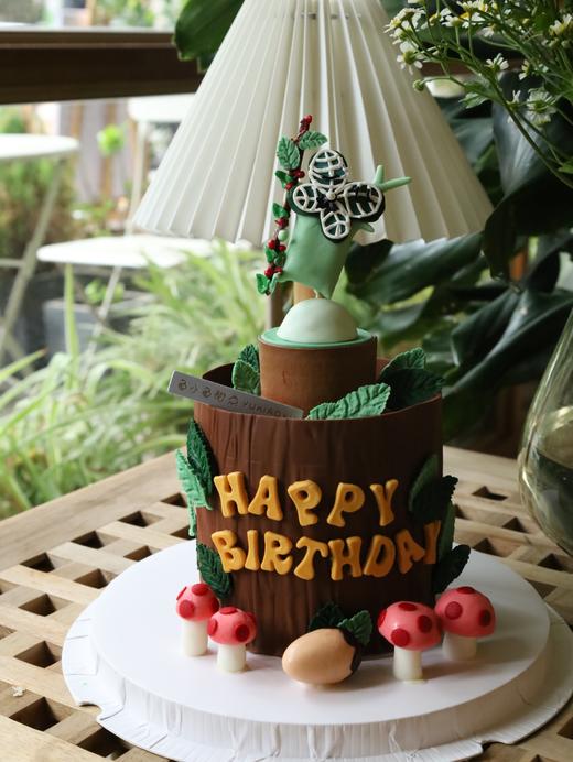 塞尔达克洛格（4寸大小 半翻糖 图片为4寸） 商品图0