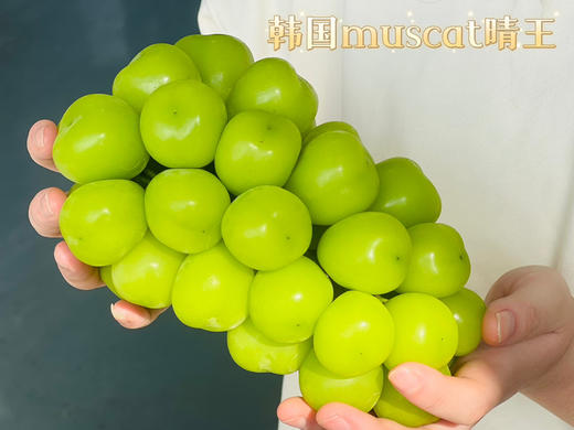 韩国进口晴王，Q弹的肉质，超棒的口感～又甜又香，甜度超高 商品图0