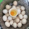 云阳土鸡蛋，梅峰土鸡蛋，一件50个，125元普通地区包邮 商品缩略图0
