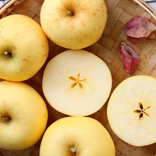 【果蔬精选】山东•黄金维纳斯苹果 日本引进品种 口味几乎纯甜 金黄诱人 香味浓郁 产自山东半岛临海丘陵山核心果区 商品图3
