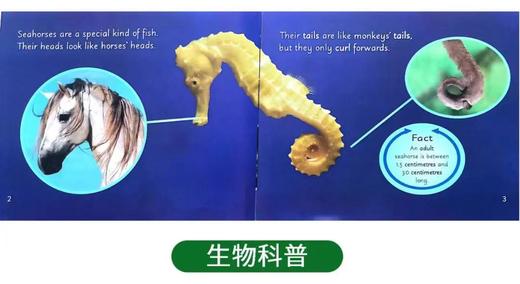 半步泛读书房，1500+ 本主题分级读物，6个级别轻松迈入桥梁书 商品图3