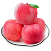 【4斤】精选富士苹果（重约4斤）【当日可提货】 商品缩略图0