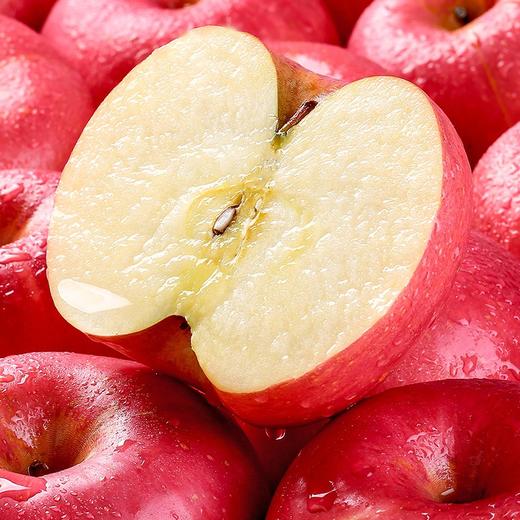 【4斤】精选富士苹果（重约4斤）【当日可提货】 商品图3