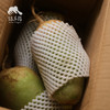 生态青皮萝卜 | 合作生产*Eco-white radish | Partner Production 商品缩略图4