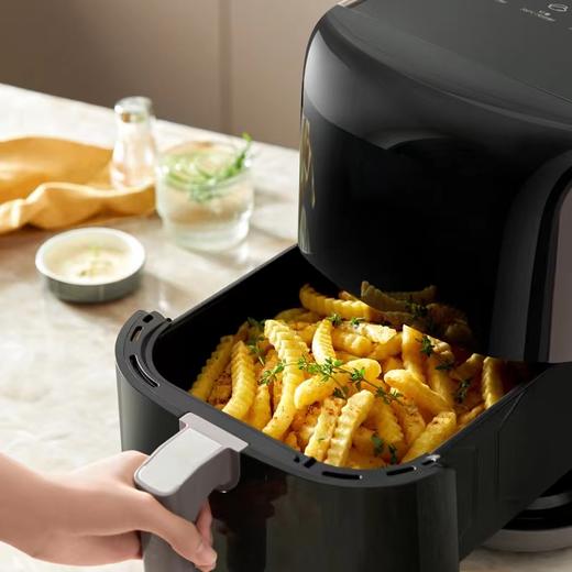 【春上新】10楼 膳魔师  5L空气炸锅吊牌价980元/只活动价499元/只 商品图2