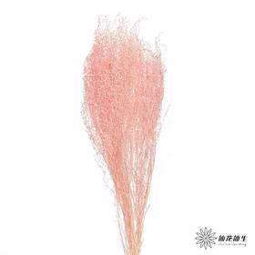 永生花材 | 翠扇樱花粉