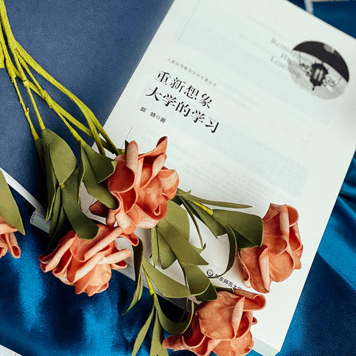 重新想象大学的学习 重塑高等教育 未来大学   郭娇著 商品图8