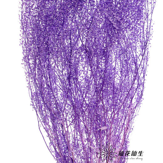 永生花材 | 翠扇紫色 商品图2