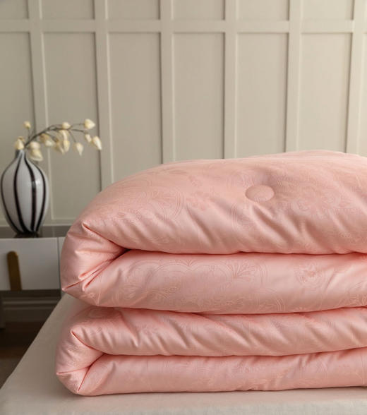 LSN1911抗菌大豆被 商品图6