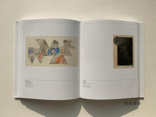 Drawing Is Everything: Founding Gifts of the Menil Drawing Institute / 素描即一切：梅尼尔收藏博物馆的初始捐赠 商品图3