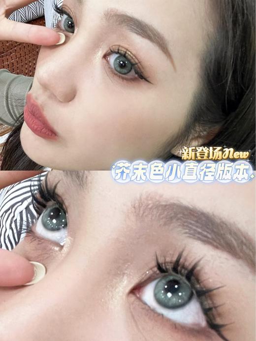 Bollycon日抛新品-Apex莱琳青灰10p/盒 商品图8