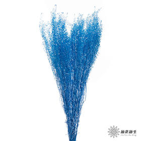 永生花材 | 翠扇宝石蓝