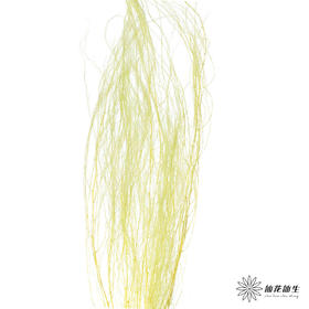 永生花材 | 龙须草青柠色