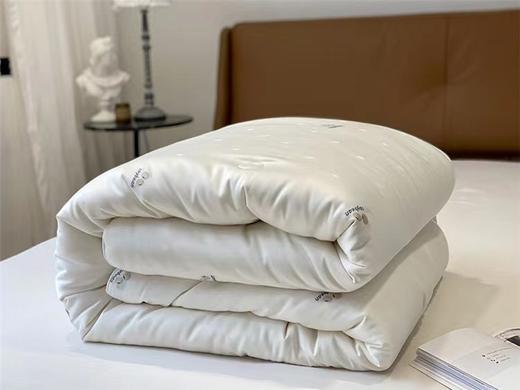 舒格雅大豆复合冬被  规格200*230cm 商品图0