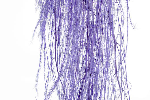 永生花材 | 龙须草紫色 商品图1