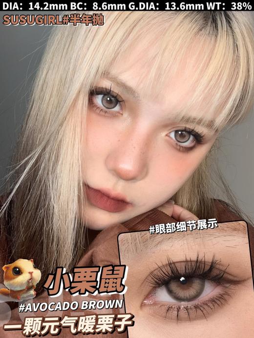 半年抛 susugirl 小栗鼠 直径14.2mm着色13.6mm 商品图1