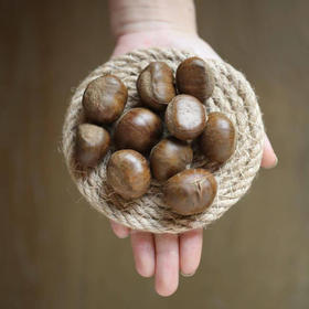 卖栗|迁西生板栗，软糯甘甜，颗颗饱满，发普通快递