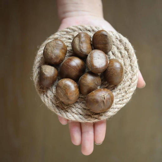 卖栗|迁西生板栗，软糯甘甜，颗颗饱满，发普通快递 商品图0
