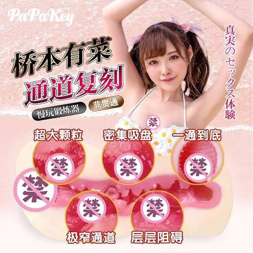 桥本有菜 | 真人1：1复刻倒模【日本原装版本】 商品图1