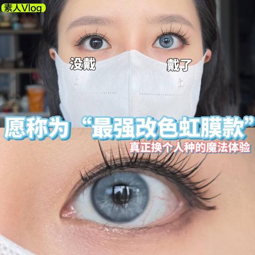 Bollycon日抛新品-Apex泰勒蓝灰10p/盒 商品图12