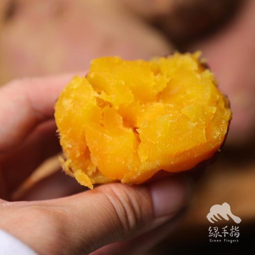 有机馨香薯（小香薯） | 合作生产 *Organic sweet potato | Coproduction 商品图5
