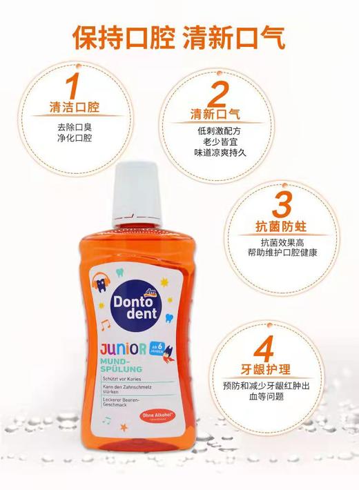 【品牌直发】德国漱口水原装进口东托登特 蓝色/绿色漱口水 儿童漱口水 500ML/瓶 商品图12