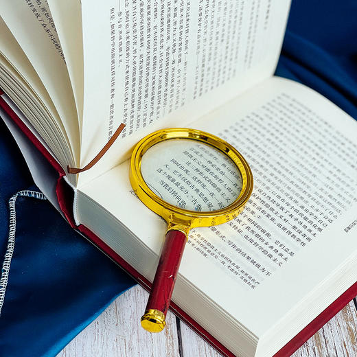 字里行间的哲学 被遗忘的隐微写作史 精装 亚瑟·梅尔泽 商品图11