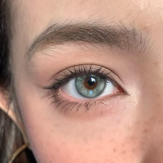 Bollycon日抛新品-Apex莱琳青灰10p/盒 商品图10