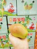 蜂糖香蜜梨一箱（拼团） 商品缩略图1