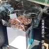 防尘防水袋（20个/袋） 商品缩略图2