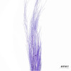 永生花材 | 龙须草紫色 商品缩略图3