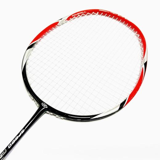 忍牌699碳铝一体羽毛球拍2支+羽毛球3个+球拍包1个套装 商品图1