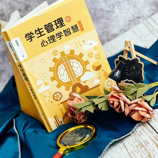 学生管理的心理学智慧第二版迟毓凯教师工作效能教育理论教师读物