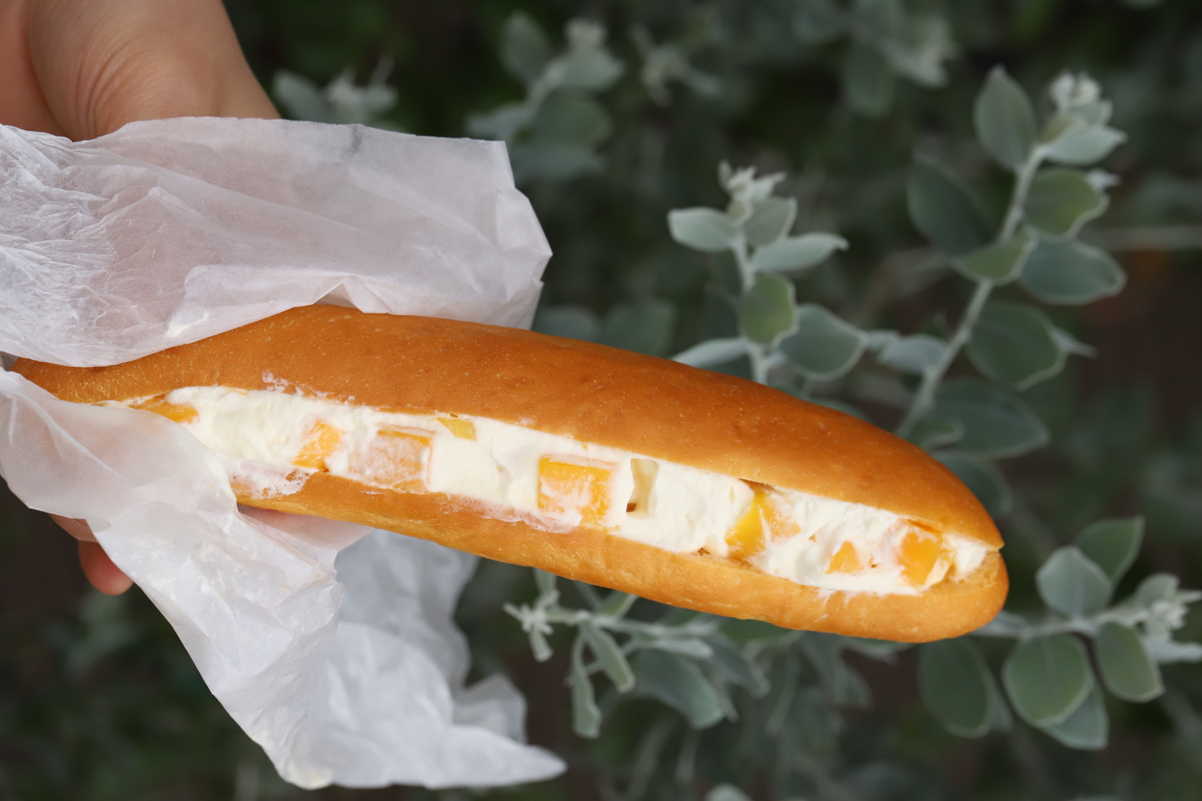 胡萝卜芒果棒面包（上午9点出炉）