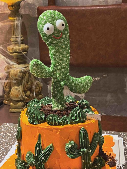 「男士」会跳舞的仙人掌 6寸适合1-2个人 8寸适合3-5人 商品图1