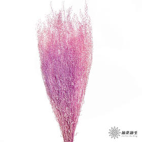 永生花材 | 翠扇粉紫色