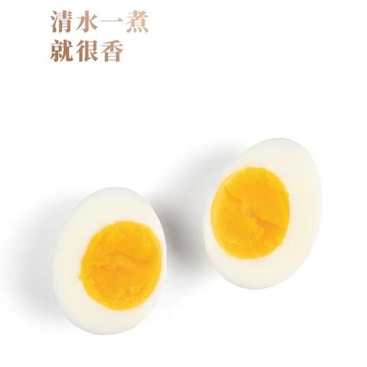 【大别山金寨农家散养土鸡蛋  50枚（收到后拿出放冰箱保鲜） 商品图12