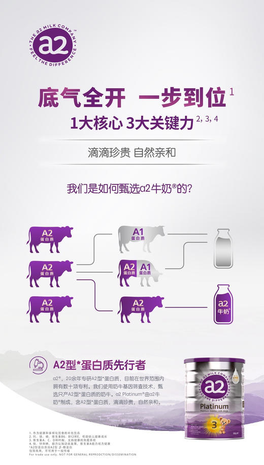 a2白金系列婴儿奶粉900g二段（6-12个月）新包装 商品图5