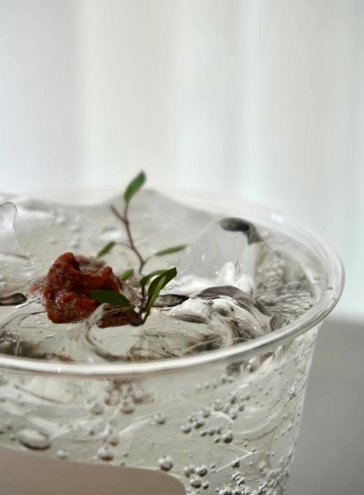 生汽的梅子 商品图1