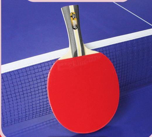 红双喜乒乓球拍T系列T3002    T3006  ZJ 商品图2