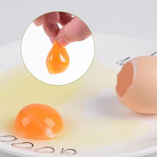 【大别山金寨农家散养土鸡蛋  50枚（收到后拿出放冰箱保鲜） 商品图4