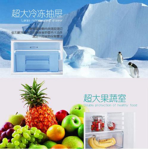 海信【BCD-302WTG 】 302升 法式四门冰箱 三温区除异味可嵌入橱柜 幻影面板双冻力制冷 商品图5