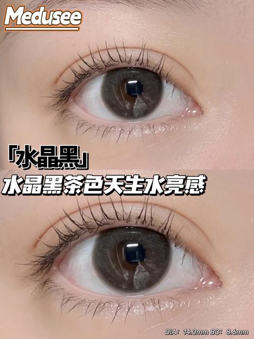 medusee 年抛 水晶黑 直径14.0mm 着色13.5mm 商品图4