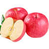 【4斤】精选富士苹果（重约4斤）【当日可提货】 商品缩略图4