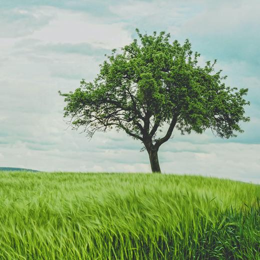 焕活新生套餐 商品图0