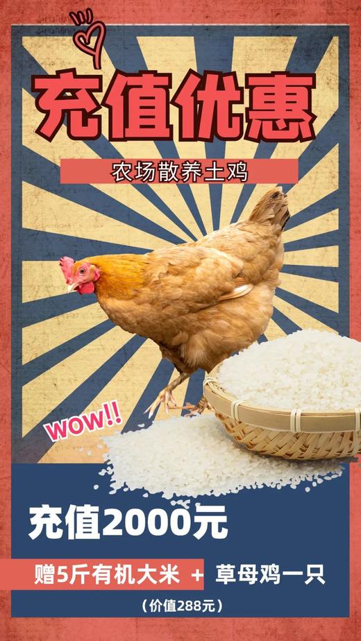 没有价格优势，只有真心与品质！【双十一充值链接】 商品图2