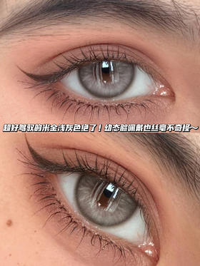 apexgary耶稣冷淡灰【日抛·十片装】