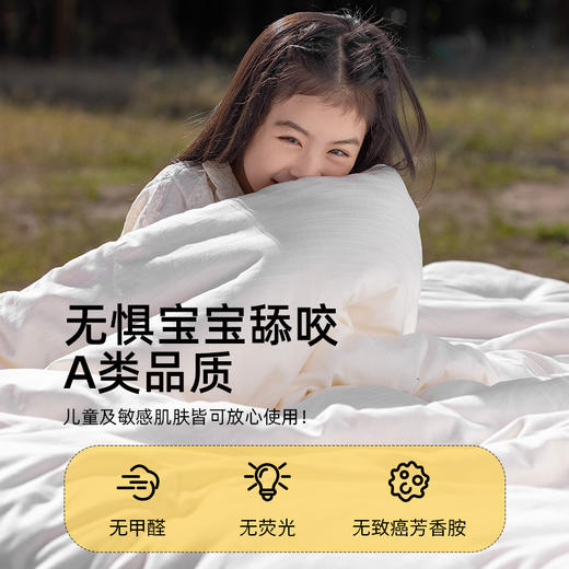 佳丽斯大豆纤维被纯棉加厚保暖A类抗菌被芯 商品图11