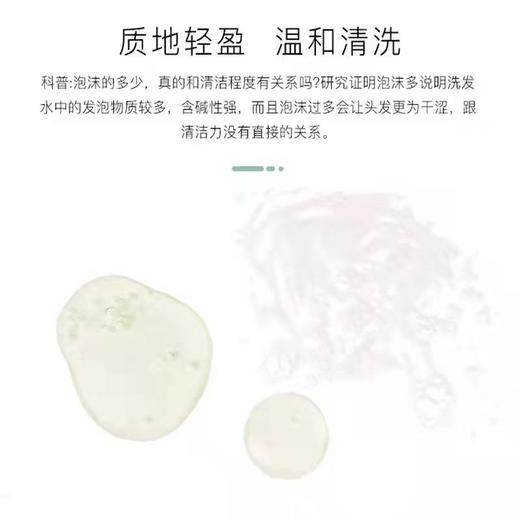 【中欧班列精选】英国生姜洗发水  The Body Shop 小铺生姜固养止痒去屑洗发水400ml/瓶 商品图5