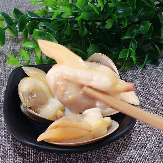 【鲜活】丹东特大黄蚬子  （送货路上不保活） 商品图2